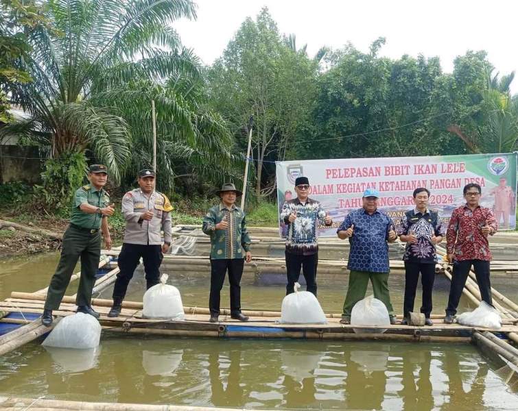 Pemda Seluma Lepaskan 20 Ribu Bibit Ikan Lele  di Lawang Agung 