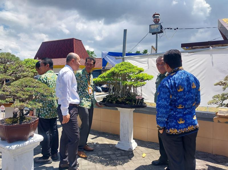 Swadaya, PPBI Kota Bengkulu Gelar Pameran dan Kontes Bonsai Nasional 