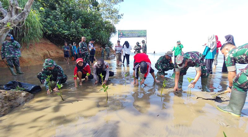 Sambut Hari Juang,  Kodim 0423 Bengkulu Utara Gelar Penanaman 1000 Pohon Mangrove