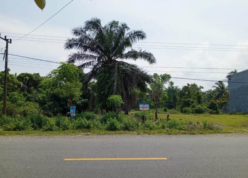  Jembatan Timbang di Desa   Sukamenanti Kaur Dibangun Tahun 2026, Saat Ini Sedang Proses Perencanaan