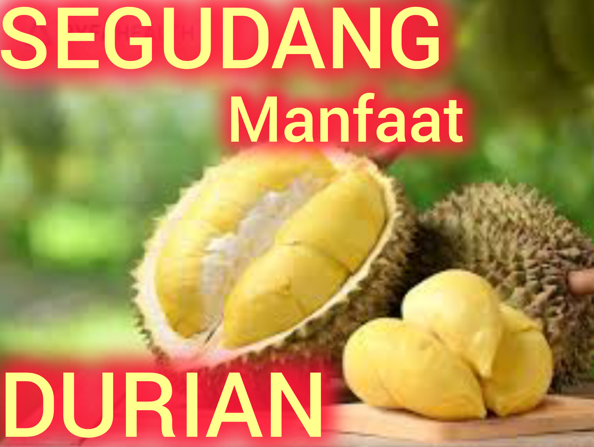 Baru Tahu, Ternyata Buah Durian Memiliki Segudang Manfaat Untuk Kesehatan Tubuh Manusia, Bisa Awet Muda Juga