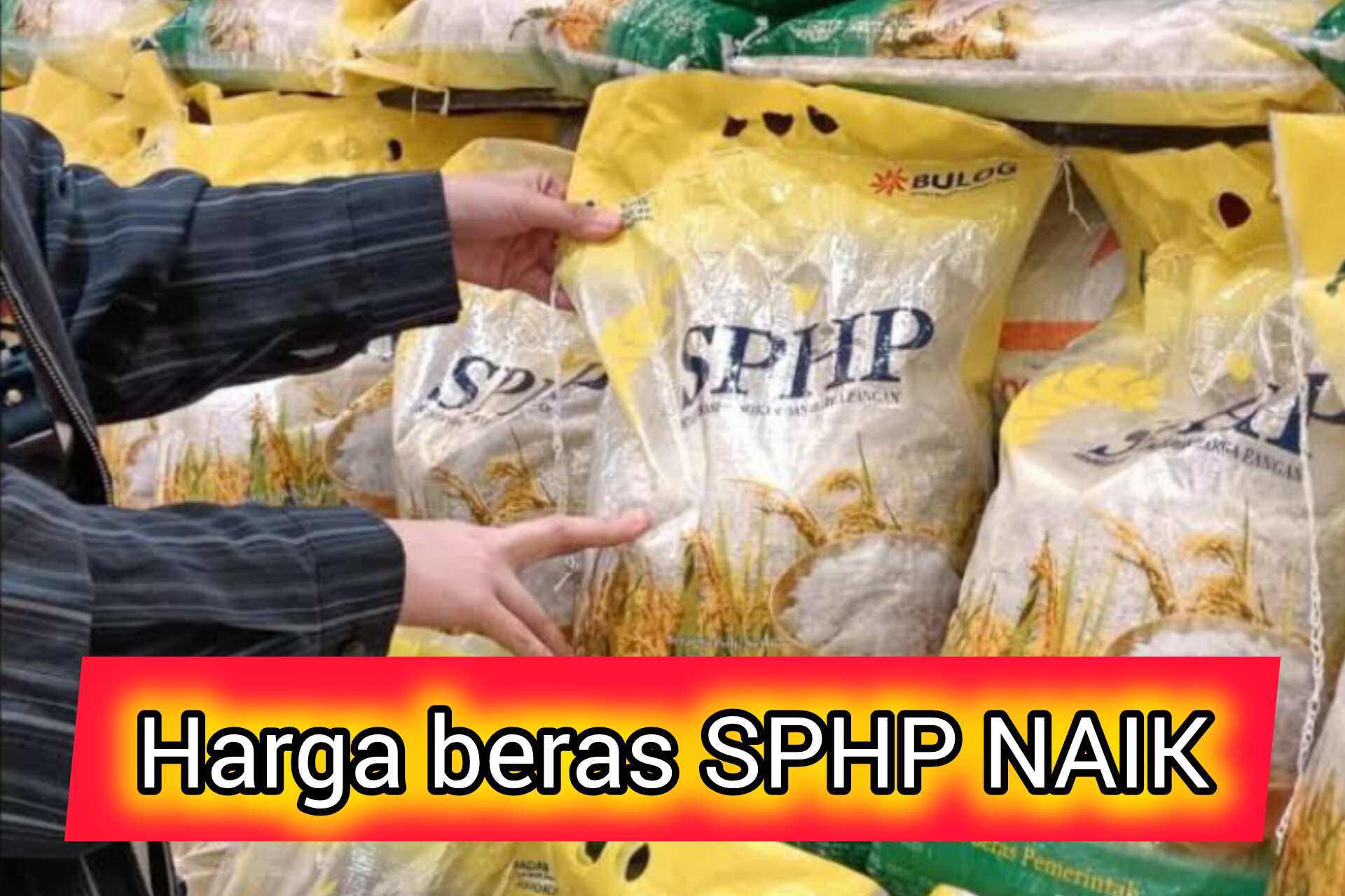 Disperindag Provinsi Bengkulu Jelaskan Penyebab Harga Beras SPHP Naik