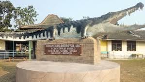 Kunjungi Taman Buaya Indonesia Jaya, Tempat Wisata yang Menarik di Bekasi: Cocok banget dikunjungi bersama