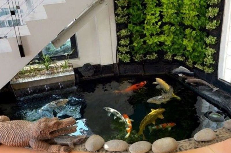 Ini Cara Membuat  Kolam Ikan Minimalis di Bawah Tangga 