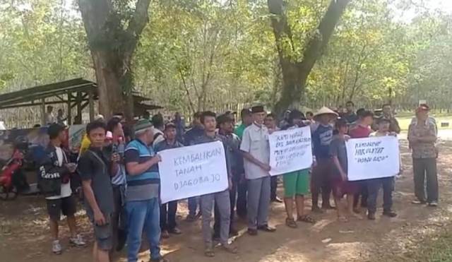 Terus Diperjuangkan, Warga Tuntut 800 Ha Lahan  PTPN VII Padang Pelawi Dikeluarkan dari HGU
