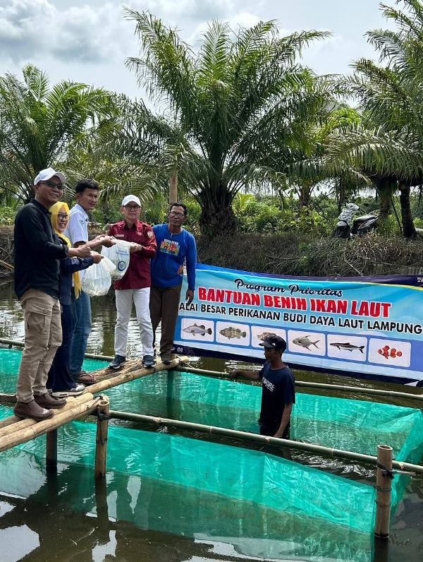 Bibit Ikan Kakap Putih Disebar 80.000 Ekor di  Desa Kungkai Jaya