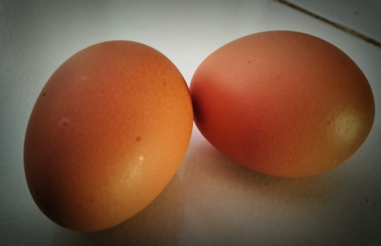 Jangan Sembarangan, Begini Cara Merebus Telur Agar Cangkangnya Tidak Menempel di Putih Telur 