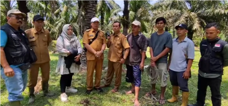 Begini  Langkah Awal Untuk Cegah Penyakit  Ngorok pada Hewan Ternak