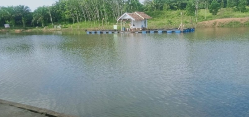 Semak Belukar Air Sebakul Disulap Jadi Danau Tempat Wisata  