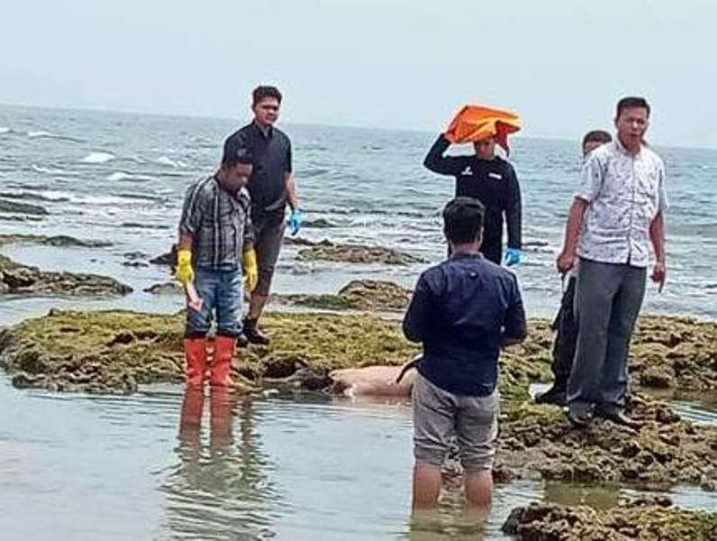 Masih Diselidiki, Mayat Tanpa Busana Ditemukan Pemancing di Pantai Panjang Masih di RS Bhayangkara