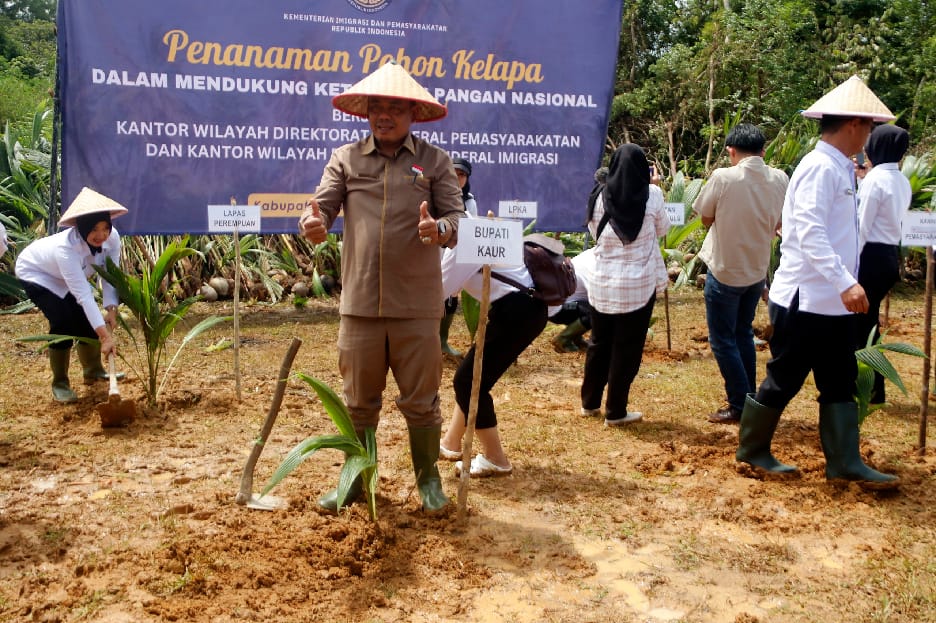 Kemenimipas RI Tanam 2000 Bibit Kelapa di Kabupaten Kaur
