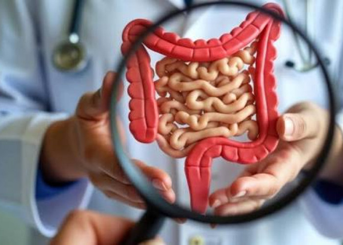 Yuk Batasi! Inilah 4 Minuman yang Dapat Menyebabkan Kerusakan Usus jika Berlebihan Mengkonsumsinya 