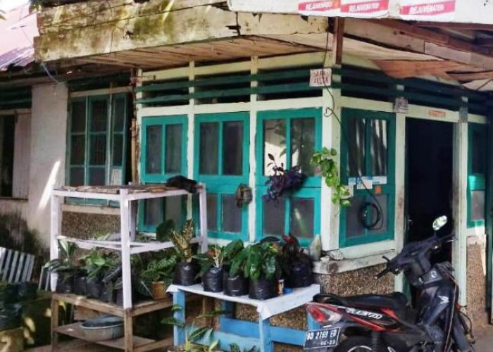 Fakta Membuktikan, Dua Kali Gempa Besar, Rumah Bidai Bambu Ini Tetap Berdiri Kokoh