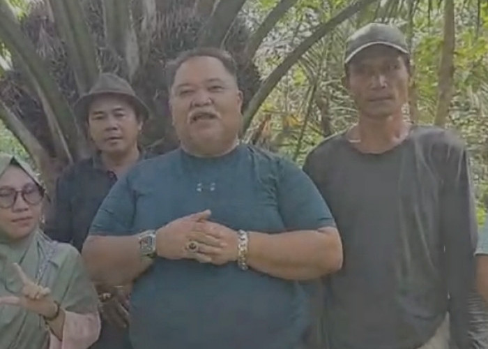 Bupati Bengkulu Selatan Berusaha Memberikan Harga Spesial Hasil TBS Program Replanting
