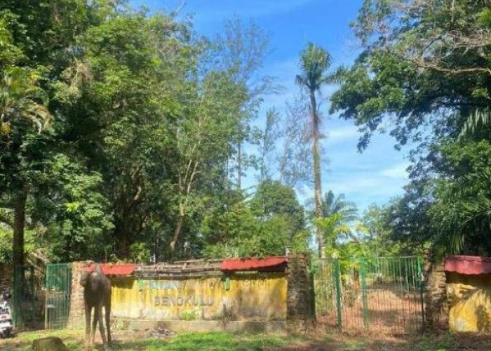 Kondisi Taman Remaja Bengkulu  Kian Memprihatinkan