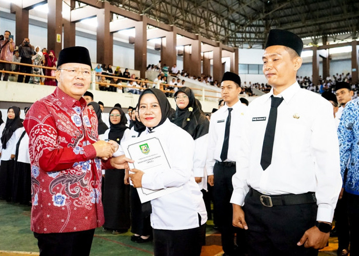 Gubernur Bengkulu Memastikan Pengangkatan PPPK di Provinsi Bengkulu Gratis 