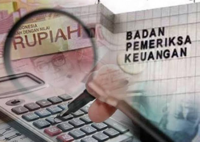 LEKAD Minta Pemkab Bengkulu Selatan Klarifikasi Penyelesaian Temuan Audit BPK RI Soal Perjalanan Dinas 8 SKPD