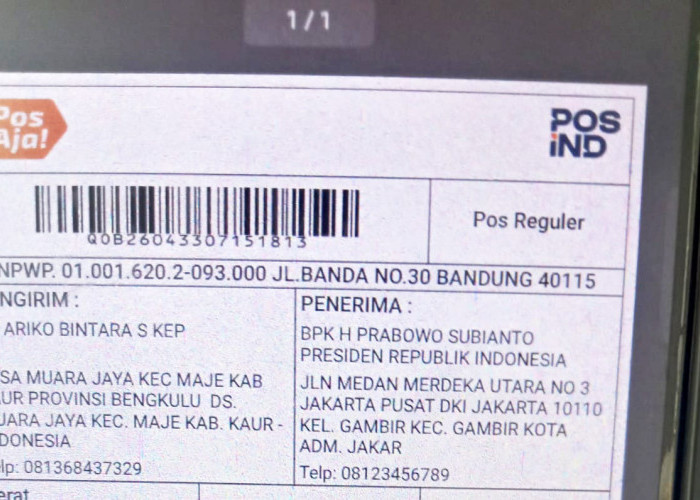 Aliansi Honorer R3 Tenaga Kesehatan Kabupaten Kaur Kirim Surat ke Presiden Prabowo