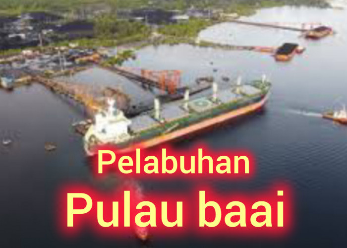 Nilai Ekspor Provinsi Bengkulu Melalui Pelabuhan Pulau Baai Turun Drastis