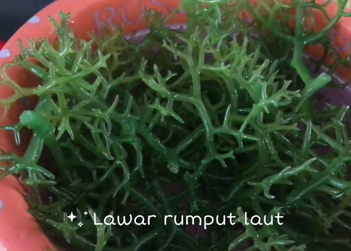 Mencoba Lawar Rumput Laut: Kuliner Khas Bali yang Menawarkan Sensasi Rasa Unik dan Teksturnya Kenyal menjadi F