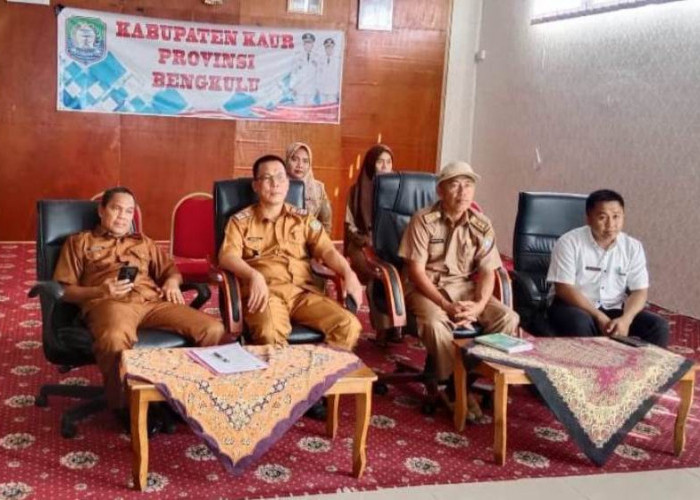 Tim Pengendali Inflasi Daerah Kabupaten Kaur Ikut Rakor Bersama Kemendagri