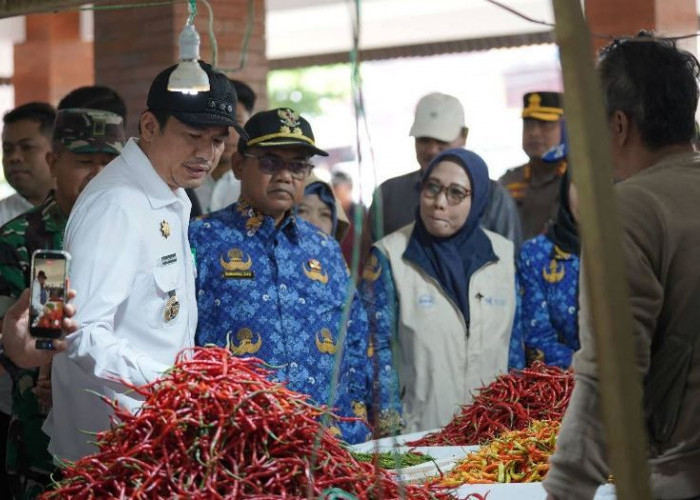 Bupati Bengkulu Utara  Sidak ke Pasar Purwodadi dan Bulog, Ini Hasil Temuannya 