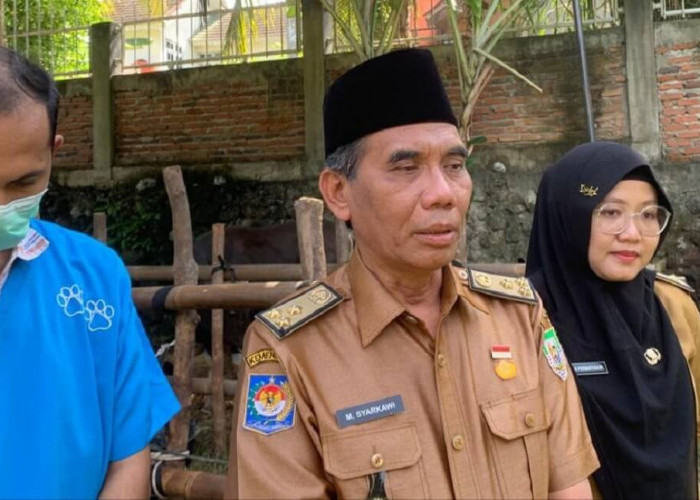 Menjelang Idul Adha, Dinas Peternakan Bengkulu Pastikan Kesehatan Hewan Kurban