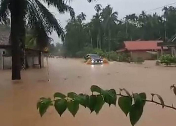 Kabupaten Kaur Dilanda Banjir, Masyarakat Diimbau Tetap Waspada