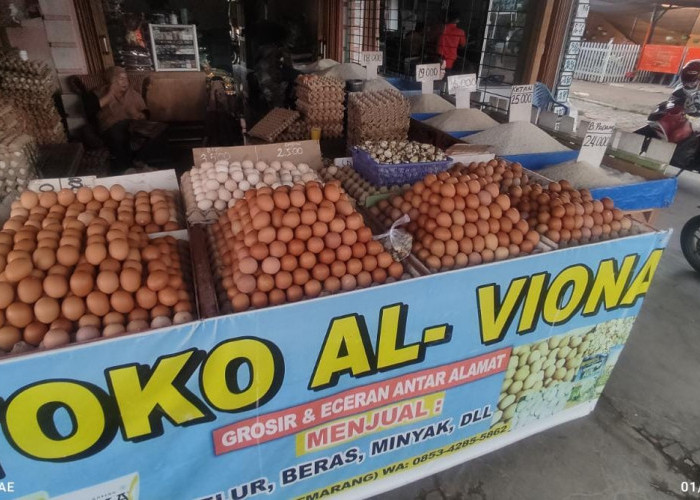 Harga Telur di Kota Bengkulu Masih Mahal