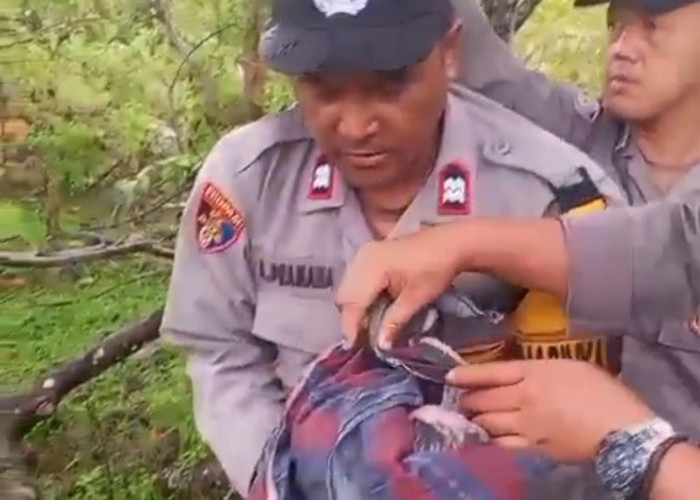 Memilukan, Jasad Bayi Perempuan Ditemukan Dekat Aliran Sungai Padang Guci 