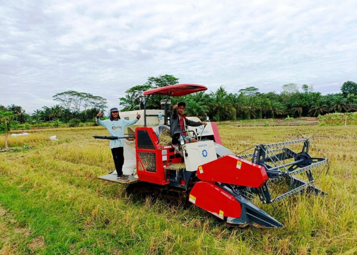 Modernisasi Pertanian Bisa Picu Generasi Muda Turun Bertani 