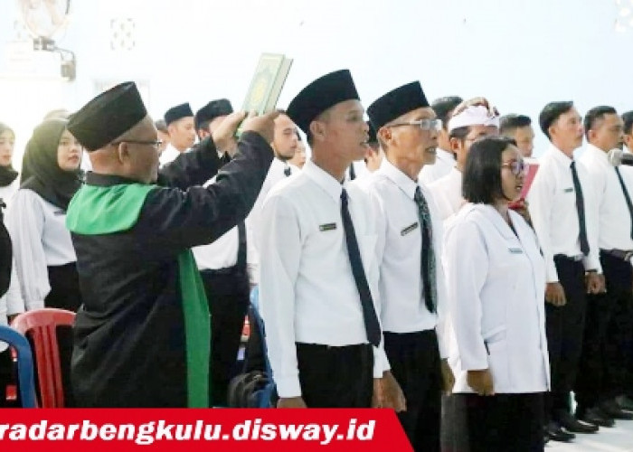 Masih Ada Waktu Pendaftaran PPPK Bengkulu, Ayo Lengkapi Syarat-Syaratnya