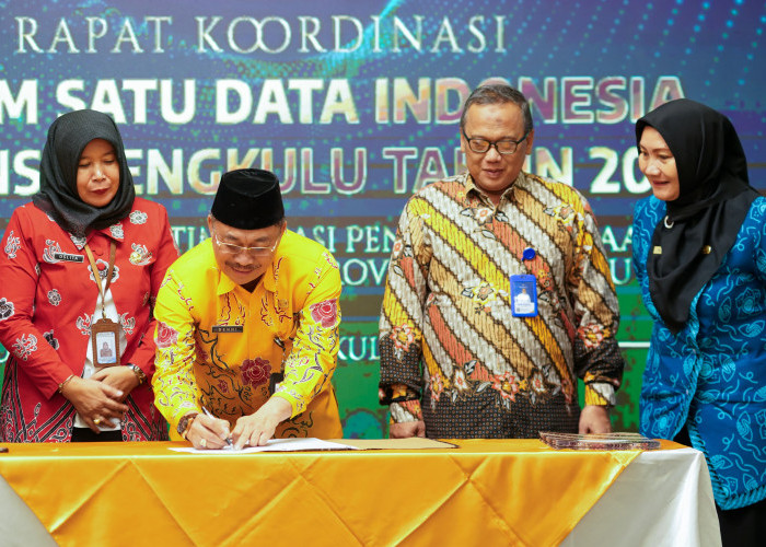 Ini Peran dan Tanggungjawab Dinas Kominfo sebagai Wali Data Tingkat Daerah dan Provinsi 