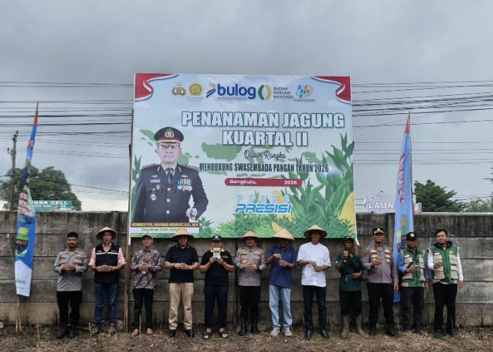 Gotong Royong di Kandang Mas, Tanam Jagung Bareng demi Swasembada Pangan