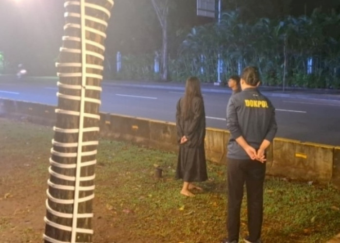 Anggota Paspampres Gagalkan Aksi Percobaan Bunuh Diri  di Depan Istana