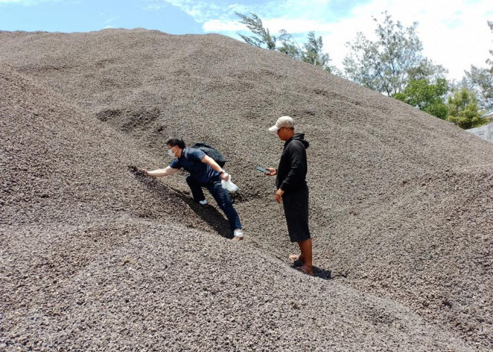 Ribuan Ton Cangkang Sawit Bengkulu Bakal Diekspor ke Jepang, PAD Bengkulu Bertambah 12 M