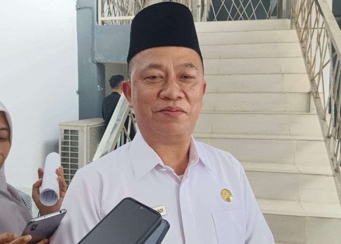 Kabar Gembira Untuk Honorer Pemprov Bengkulu yang Bisa Diangkat Menjadi PPPK