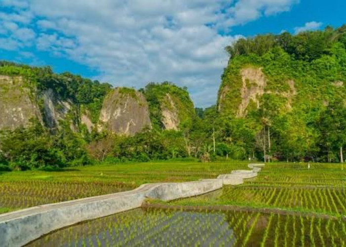Pesona Ngarai Sianok: Keheningan Alam di Bukittinggi