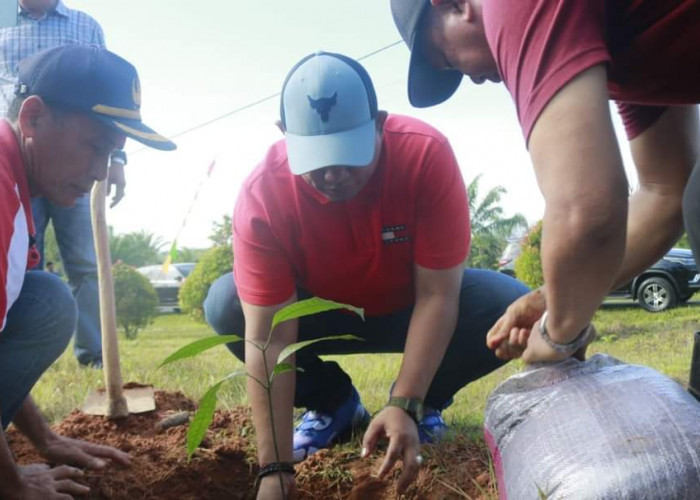 Bupati Seluma Gerakkan  OPD Memanfaatkan Lahan Pekarangan