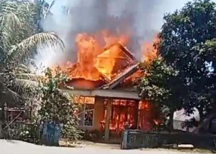 Kebakaran Beruntun di Bengkulu Utara Jadi Perhatian Gubernur Bengkulu, Ini Pesan untuk Kades
