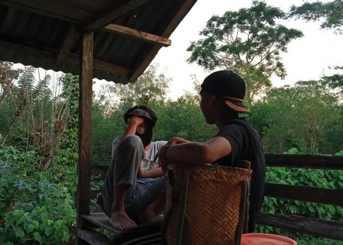 Ketika Liburan Tiba, Mahasiswa UINFAS Bengkulu Manfaatkan Waktu di Kebun Durian
