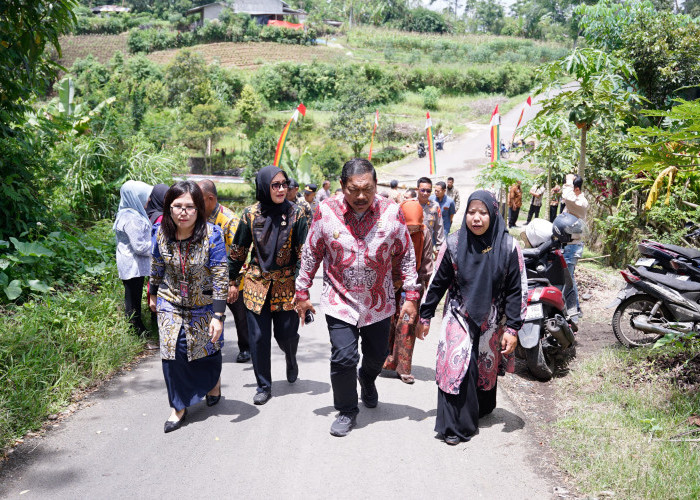 Wagub Mian Tinjau Jembatan Amblas di Air Merah, Langsung Koordinasi dengan Gubernur