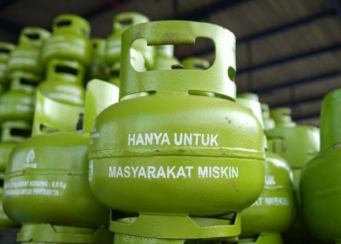 YLKI Minta Pemerintah Jangan Asal Ganti LPG 3 Kg dengan CNG