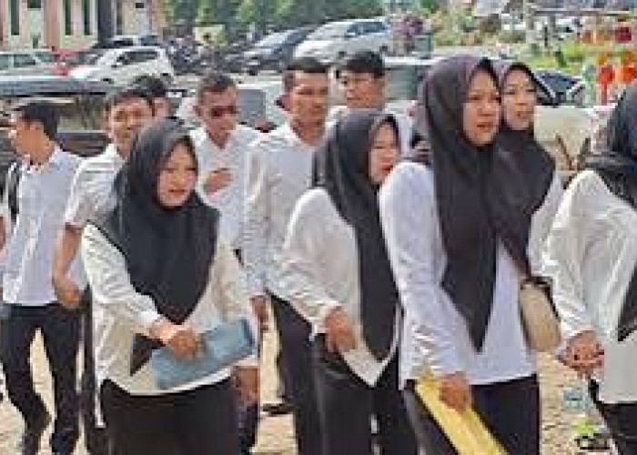 Komisi IV DPRD Provinsi Bengkulu Dorong Pemprov Tuntaskan Polemik PTT, GTT, dan Honorer