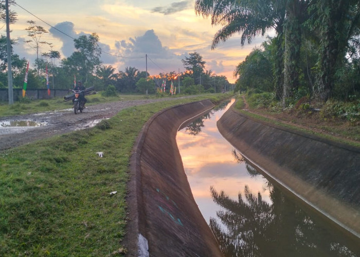 Warga Lubuk Pinang Kecewa Tidak Ada Penindakan Alih Fungsi Sawah Jadi Kebun Sawit 