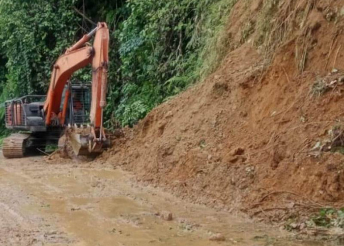 Gerak Cepat, BPBD Bengkulu Selatan Evakuasi Longsor di Ulu Manna