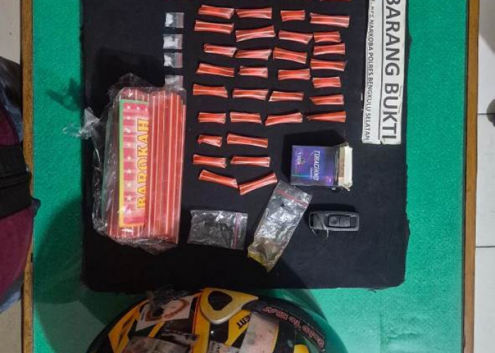 Satnarkoba Polres Bengkulu Selatan Amankan Seorang Mahasiswa dan BB 44 Paket Sabu