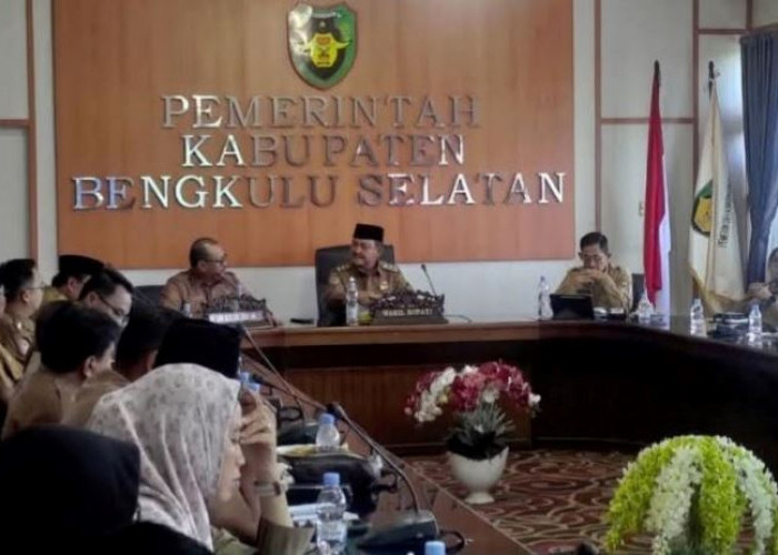 Peluang PAD Harus Dimanfaatkan, Menjawab Tantangan Efisiensi