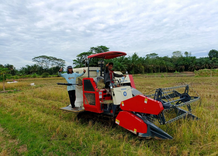 UPJA Maju Bersama Lubuk Gedang Dapat Pinjam Pakai Alsintan Kementan, Apa Bedanya dengan Poktan 