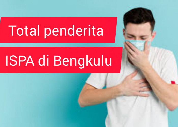 Penyakit ISPA Meningkat, Januari Hingga Maret Tahun 2024 di Provinsi Bengkulu Tercatat 17.357 Kasus ISPA